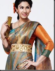 divya parameshwaran hot_in_saree1