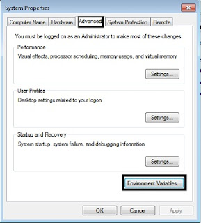 envirmnment variables