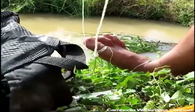 Cara Membuat Alat Perangkap Ikan dari Botol Bekas Cocok untuk Pemancing