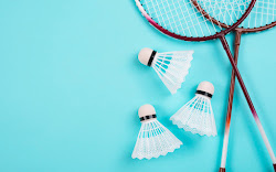 Ketahui Elemen Penting dan Harga Karpet Badminton Untuk Memulai Bisnis Hall Badminton