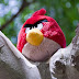 ANGRY BIRDS EN LA VIDA REAL