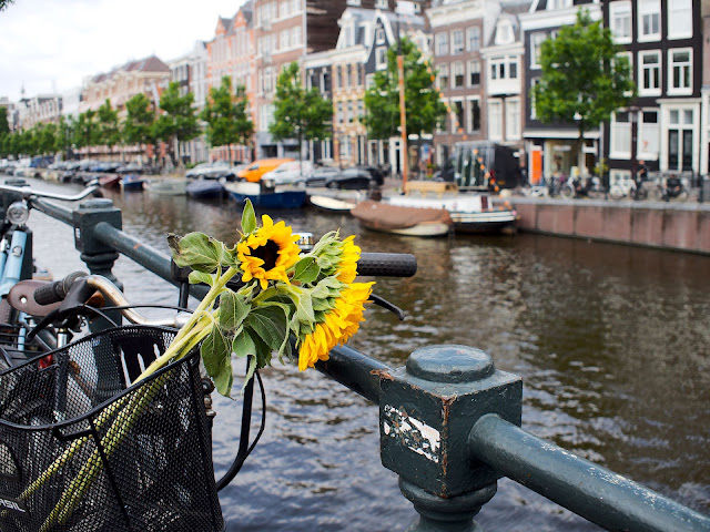 Sonnenblumen an einem Fahrrad in Amsterdam