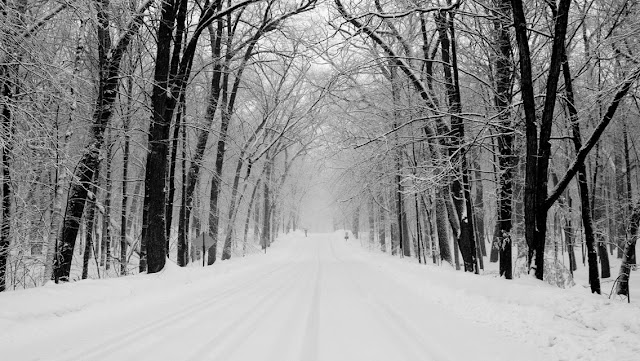 Free Download Winter Snowy Road HD Wallpapers for iPhone 5
