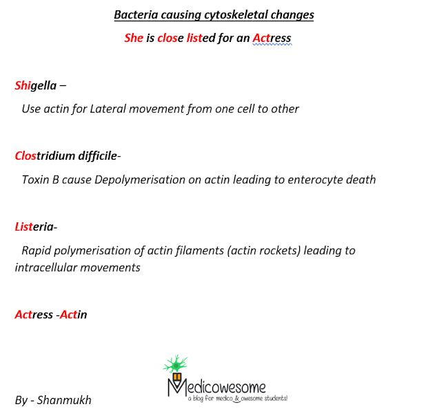 Bacteria causing cytoskeletal changes