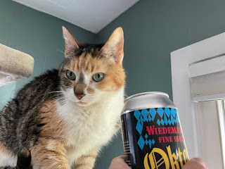 Purrl refusing to sniff my can of Oktoberfest