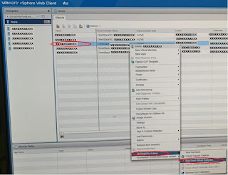 Simplivity-Federation-Vmware-Webclient-host-cvm-shutdown