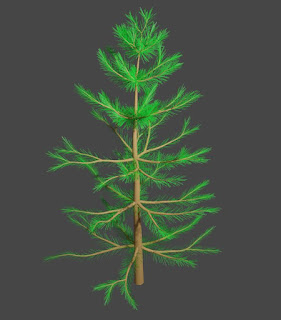 Pine small tree Plant free fbx download