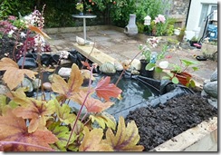 garden 053