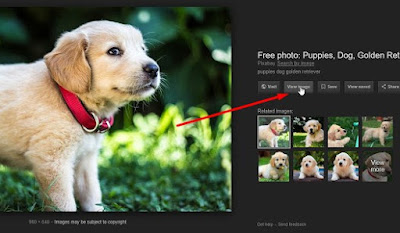 Cara Memunculkan View Image Pencarian Gambar Google Cara Memunculkan View Image Pencarian Gambar Google