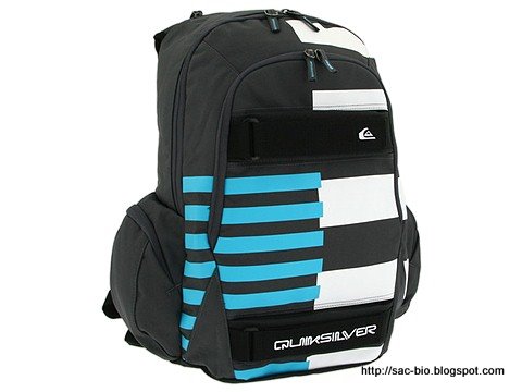 Sac Bio:sac-1313891