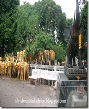 ALIM2777_wm