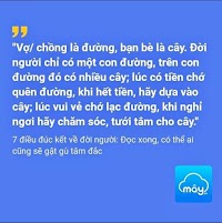 Vợ Chồng là đường, bạn bè là cây