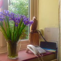 Iris in the window 