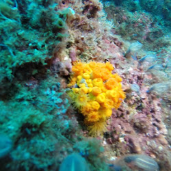 El cambio climático en mares y océanos