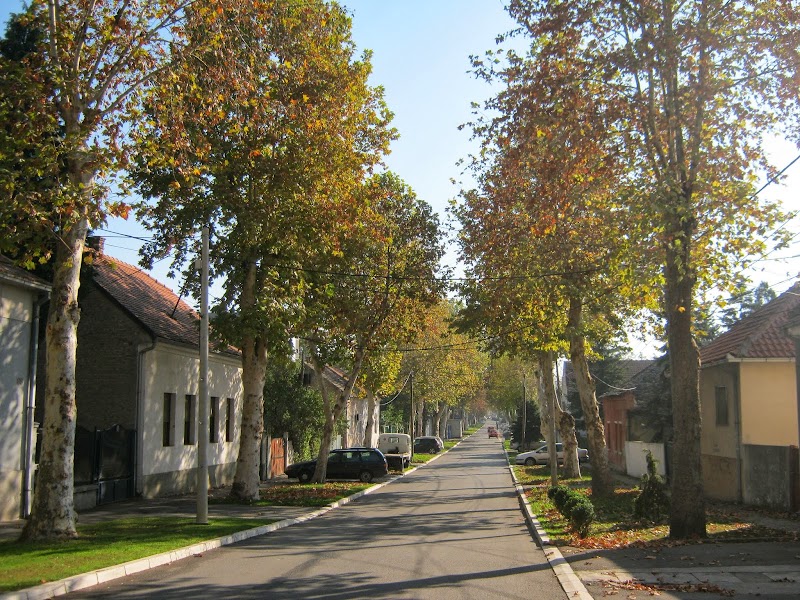 ZEMUN, DOBANOVAČKA ULICA, 2.NOVEMBAR 2013.GODINE