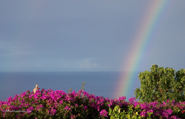 Early Morning Rainbow