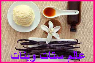 ضعف الرغبة المفاجئ وعلاجه فوائد الفانيليا طريقة استعمال الفانيليا Vanilla