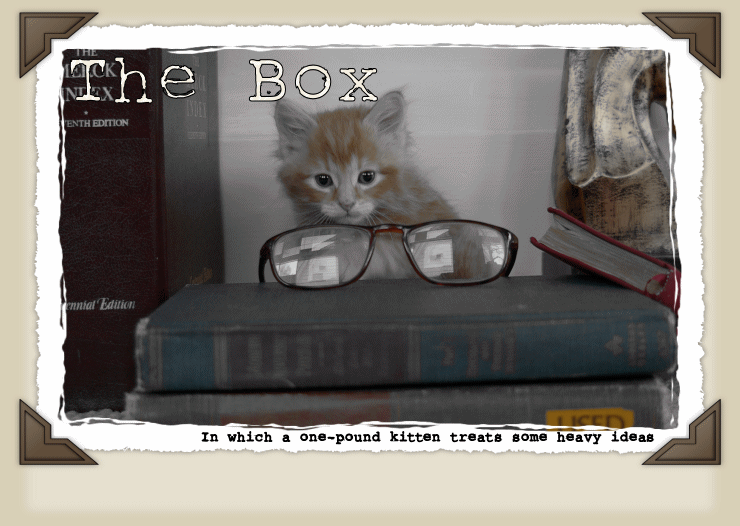 The Box