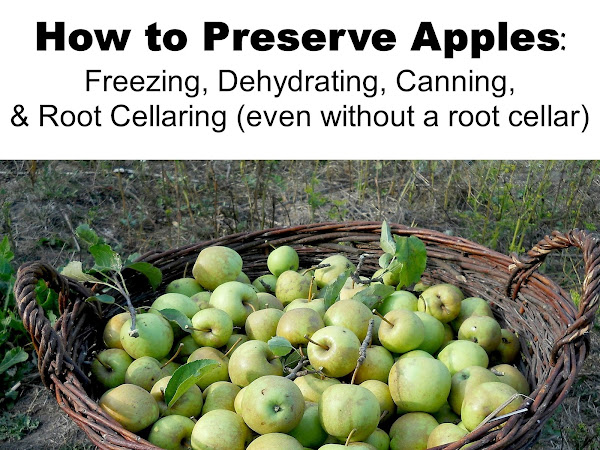 How to Preserve Apples: Canning, Freezing, Dehydrating, and Root Cellaring