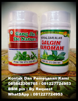 OBAT BATU GINJAL ALAMI DE NATURE