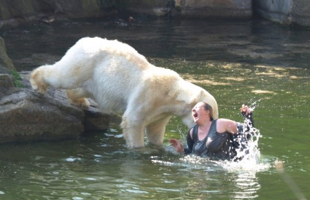 A polar bear attacked a woman 2011