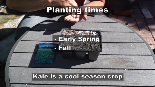 Planting Times, growing kale in pots