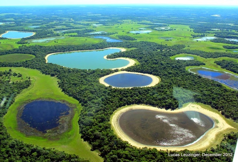 pantanal-1