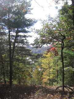 wooded trail