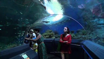 Get a discounted price at Underwater World Pattaya 