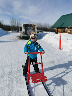 Kick Sleds at Yukon Wildlife Preserve