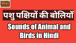 Sounds of Animals, Insects and Birds in Hindi