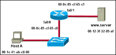 CCNA 1 Module 7 V4.0