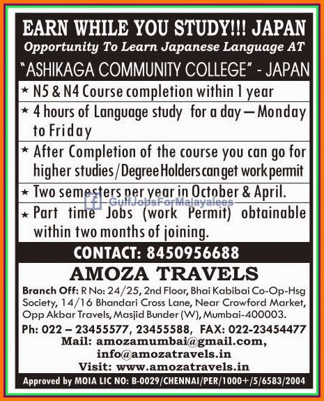 Study & Work in Japan  