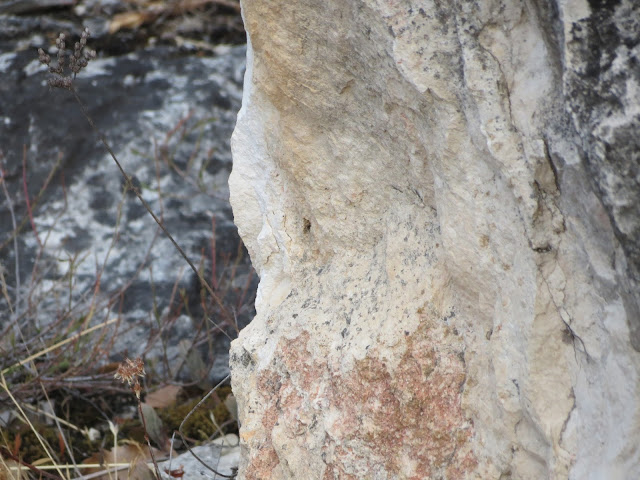 Pérfiles de piedra, Beatriz 2012