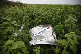 Debris from a Malaysian Airlines Boeing 777 that crashed on Thursday lies on the ground near the village of Rozsypne in the Donetsk region July 18, 2014. World leaders demanded an international investigation into the shooting down of Malaysia Airlines Flight MH17 with 298 people on board over eastern Ukraine in a tragedy that could mark a pivotal moment in the worst crisis between Russia and the West since the Cold War. REUTERS/Maxim Zmeyev