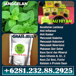 Cincau Hitam, Jual Cincau Hitam, Jual Cincau Hitam Jogja, Jual Cincau Hitam Bubuk, Jual Cincau Hitam Surabaya, Jual Cincau Hitam Depok, Jual Cincau Hitam Powder, Jual Cincau Hitam Tangerang, Jual Cincau Hitam Purbalingga, Supplier Cincau Hitam