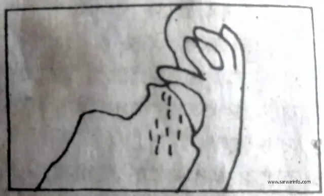 নাকে-পানি-দেওয়া