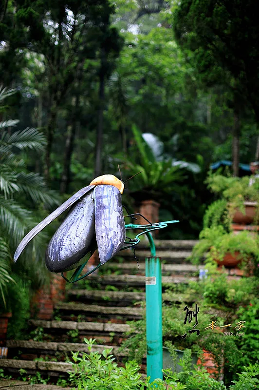 三峽賞螢下午茶｜珍園|螢火蟲花園