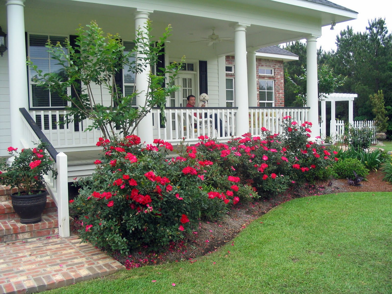 A Southern Belle Dishes on Decor: My Life on the Front Porch