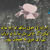 Famous and Beautiful Quotes In Urdu with Pictures