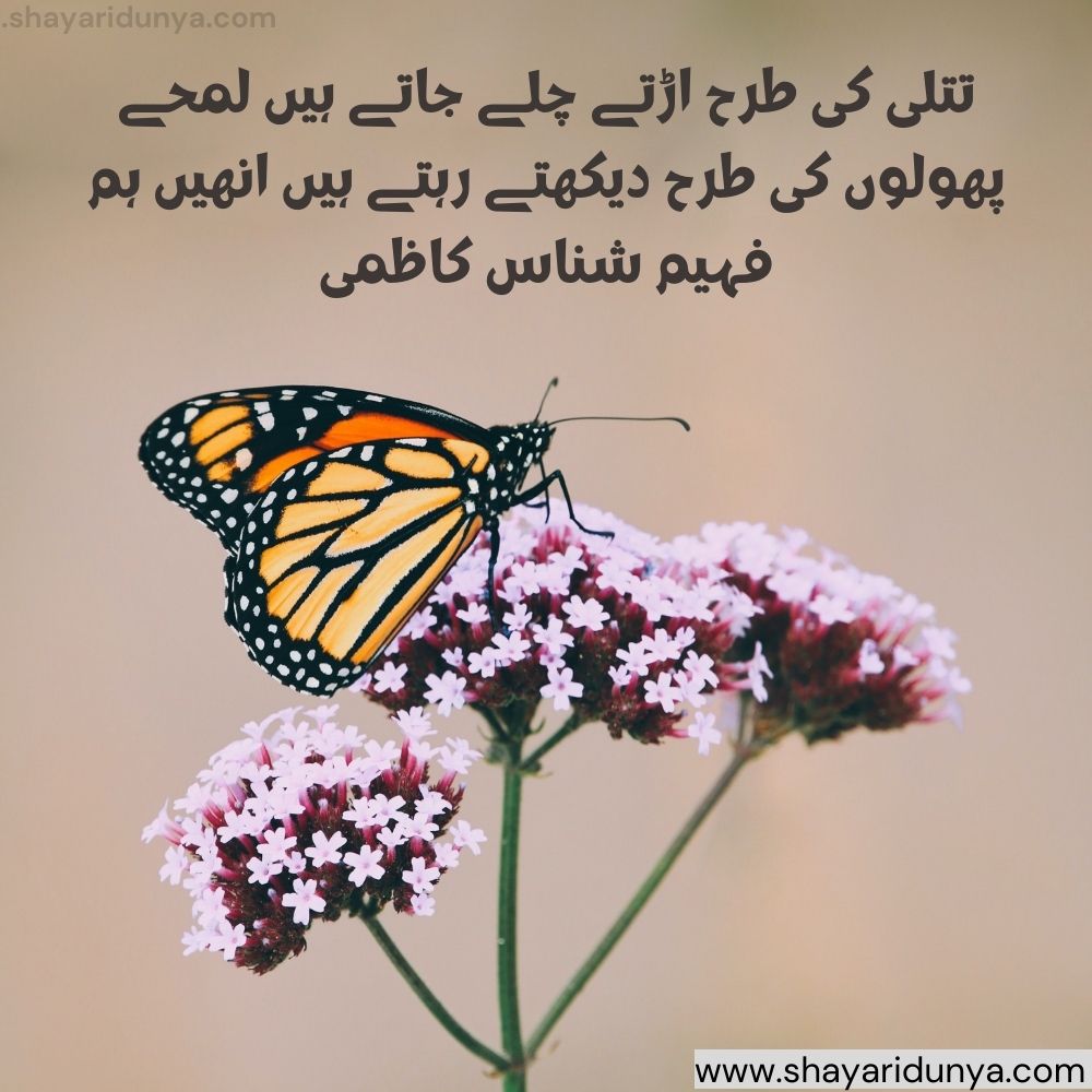 titli shayari in urdu | Butterfly Shayari | butterfly quotes | titli shayari in urdu  | titli quotes in urdu