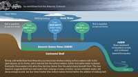 In some places along the Antarctic coast, ice formation causes seawater to grow saltier and therefore denser, so that it sinks to the sea floor. Known as the Antarctic Bottom Waters (AABW), these deep, cold waters play a critical role in regulating circulation, temperature, and availability of oxygen and nutrients throughout the world's oceans. (Credit: Eric Taylor, Woods Hole Oceanographic Institution) Click to Enlarge.