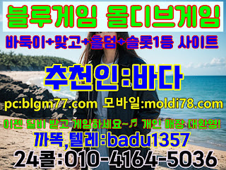 한국형 바둑이사이트 로우바둑이 바이브바둑이 블루바둑이 몰디브바둑이 딜러비 지원해드려요!