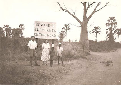 Elephants on road warning sign