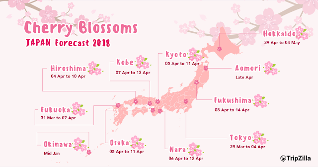 Cherry Blossoms Japan Forecast 2018