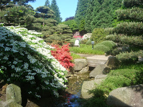  όλο τον ιαπωνικό κήπο διατρέχουν ρυακια