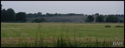 DSCF2824