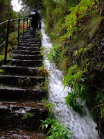 Levada walk