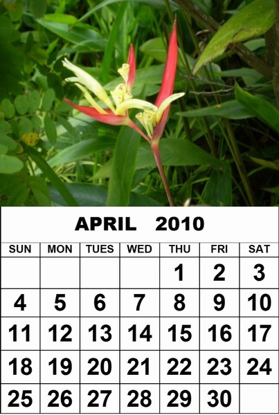 april 2010 calendar printable. 2010 April 2010 calendar