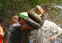 Incrível! Guia turístico ganha luta contra cobra de três metros nos EUA; fotos